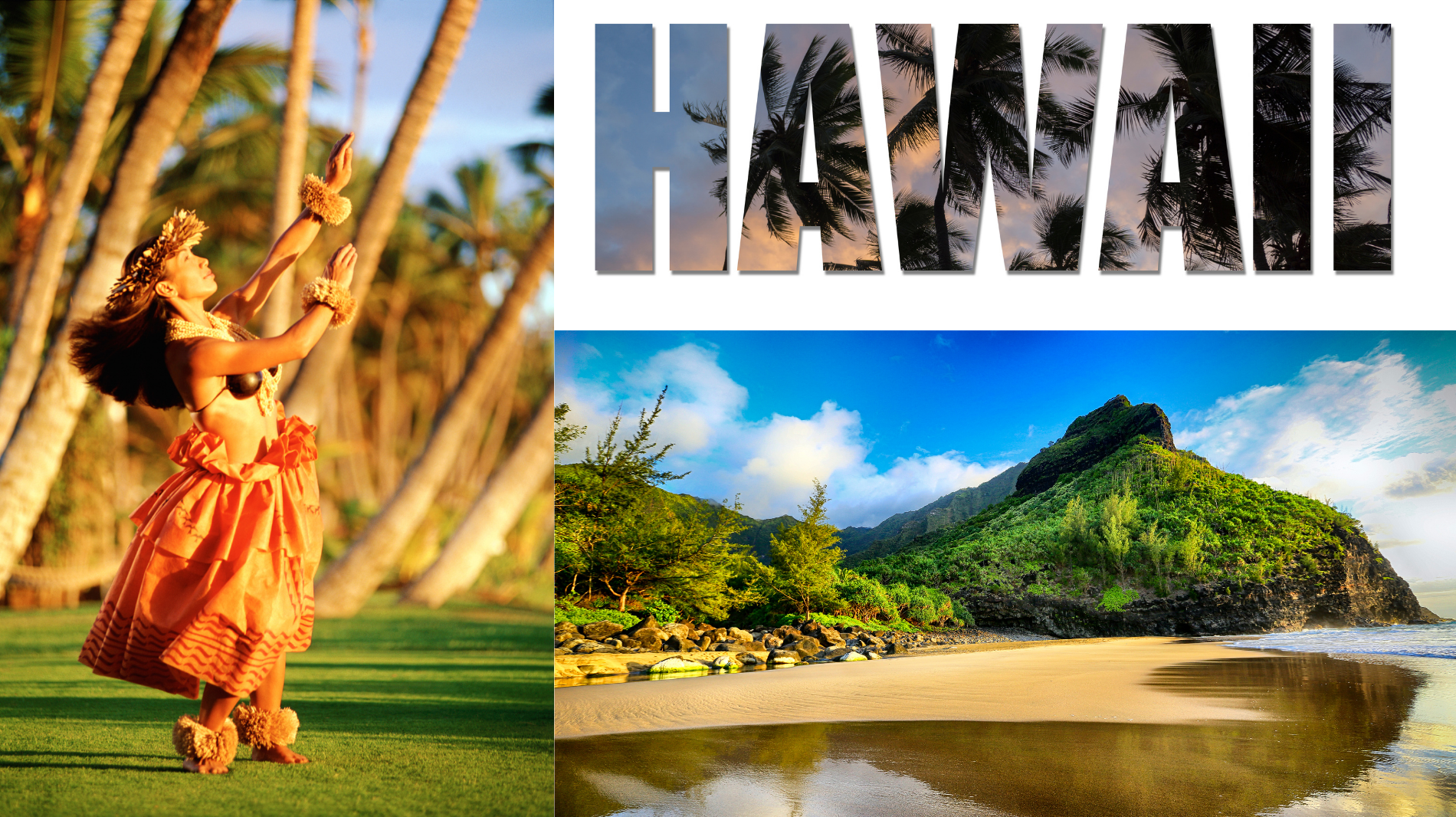 Hawaii free trip